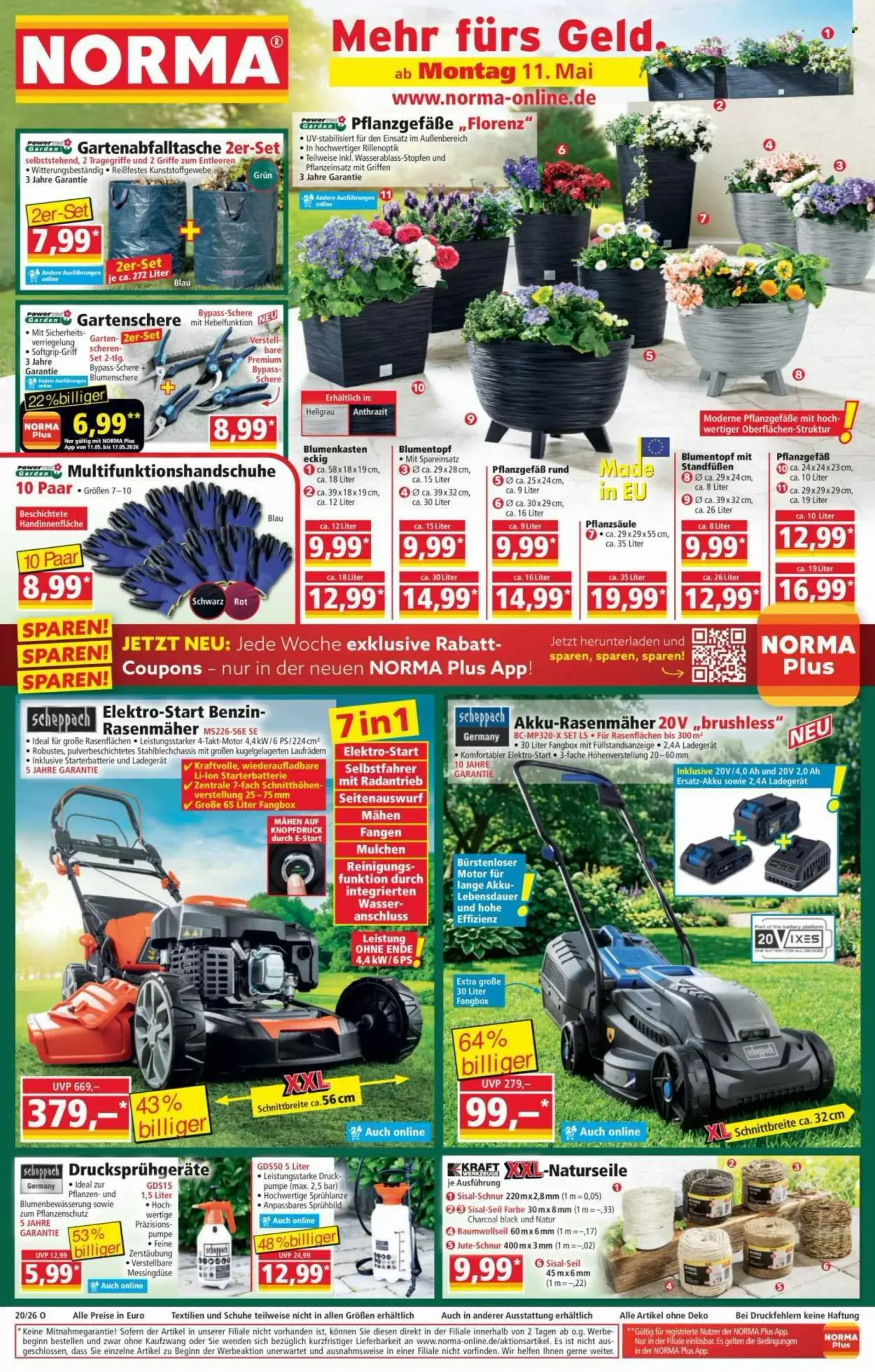 Norma Pflanzen Diese Woche